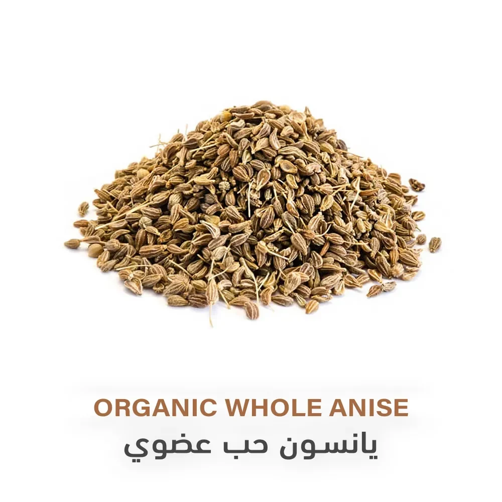 ينسون مفربل بلدي