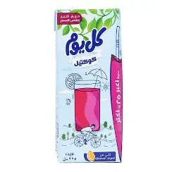 عصير كل يوم كوكتيل 225مل