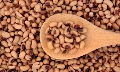حبوب لوبيا بلدي